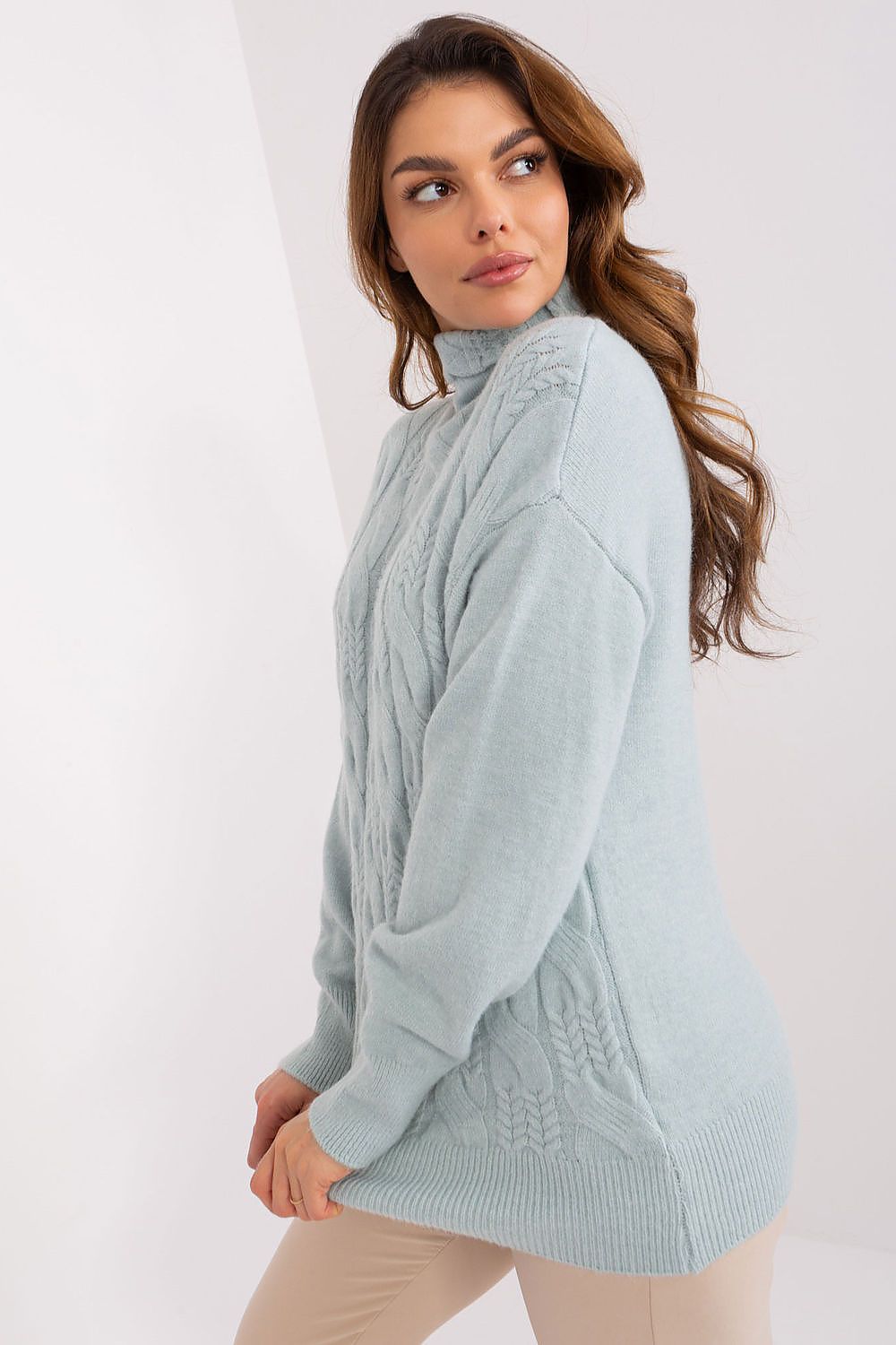 Rollkragenpullover model 208315 AT